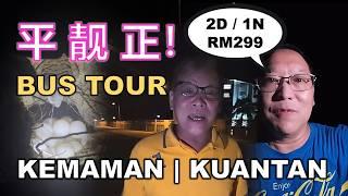 Bus Tour To Watch Turtle Lay Eggs | 乘巴士观赏海龟产卵 - 平靓正 | TELUK CEMPEDAK | KEMAMAN | KUANTAN | MALAYSIA