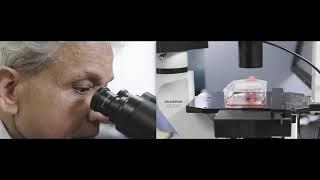 Professor Sharad Kumar - Finalist of the 2017 South Australian Scientist of the Year award