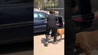 اقوي مقالب عبده الجوكر#اكسبلور #دويتو #foryou #اضحك #funny #مقلب #ضحك #مضحك