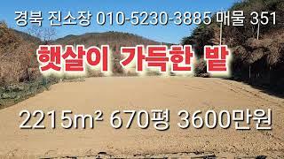 매물 351#경북 진소장#의성 부동산 #군위 부동산 #안동 부동산 #의성 땅토지 매매 #군위땅 매매 #과수원 매매 #촌집 매매 #임야 매매 #안동 땅 매매 #영천 부동산 #진소장