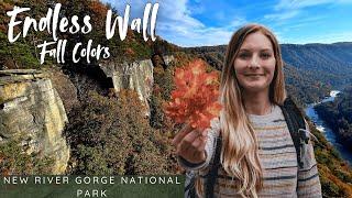 Endless Wall Trail: Best Hiking Trail in New River Gorge National Park