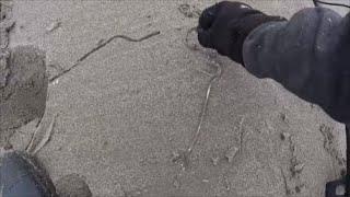 Beach Metal Detecting New Hampshire