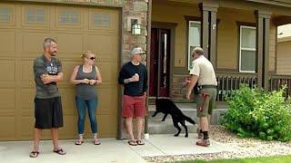 CHRIS WATTS War alles doch ganz anders? | Was die K9 Leichenspürhunde über den Tatablauf verrraten!