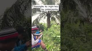Dah tau jangan lari