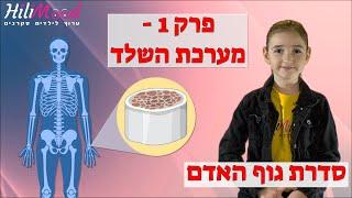 הילימוד - גוף האדם | פרק 1 - מערכת השלד | מיוחד לילדים