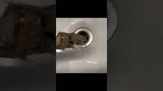 Check THIS for Clogged Sink #shorts #diy