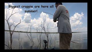 40 minutes of catching JULY crappie on standing timber! Crappie love it all summer long!