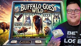 Gambling It All on Buffalo - Watch What Happens