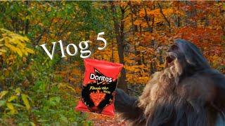 FSI Part 5: Sasquatch And Hot Chips