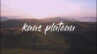 Kaas Plateau | Vajrai Waterfall | kumudini lake | Satara Cinematic Travel Series | Part 2