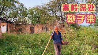 探访秦岭深处无人石板村，偶遇70岁老主人，相谈甚欢临别互送礼物【旅途琪遇记】