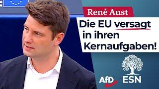 Die EU versagt in ihren Kernaufgaben! – René Aust (AfD)