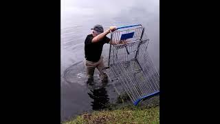 Pulling Out Walmart Cart Out of the Pond in Bubbles Trailer Park Boys Fashion #duckpond #babyduck