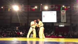 【新極真会】 European Championship2013 Heavy Weight final Dimitrov vs Vangelov SHINKYOKUSHINKAI KARATE