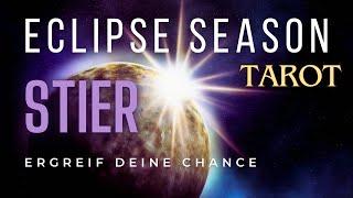 MONDFINSTERNIS  STIER | Dein Herzensweg! Ein Neubeginn & ein neuer Gedanke