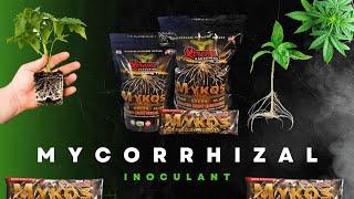 Xtreme Gardening Mykos
