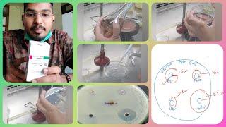 Antimicrobial activity of Plants/Clearing zone/Disc and well method/Medicinal plants/Microbiology