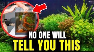 Why You Can't Grow Healthy Aquatic Plants