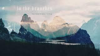 In The Branches - Wilderness Time (2016) - Ambient Guitar / Full Album with Booklet Visuals