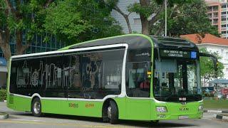 SMRT Bus Service 190, SG4002G (Full Trip) (Direction 1)