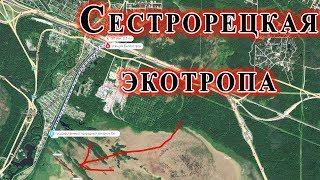 Сестрорецкая ЭКОТРОПА. ЕДЕМ ГУЛЯТЬ