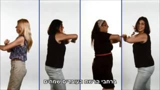 זיו האפט ארגון כה מושלם, בתוכו הלב פועם, בקצב קצב