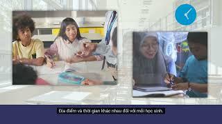 VIETNAMESE - What is Special Education