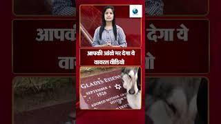 ये वीडियो देखकर आपकी भी आँख बर आएगी|#newsupdate#breakingnews#trending #news#youtuber#shorts#ytviral