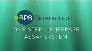 ONE-STEP Luciferase Assay System | BPS Bioscience