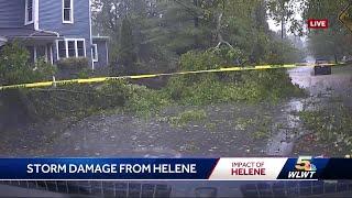 Gusty winds bring down trees, power lines in Cincinnati