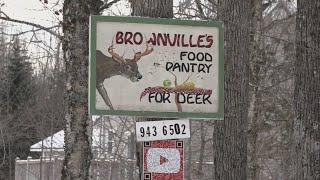 Viewers can watch deer around the clock with Brownville livestream