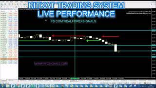 Live performance of kitkat trading system in EURJPY 2 CURRENCY PAIR 23-07-2019