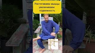 ЗОЖники Свобода Движений: Убираем Застой в Малом Тазу! #зож #упражнения #утренняязарядка #спорт