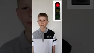 Юные инспекторы движения 2г класса