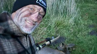 Deer hunting with a selfbow - Traditional bowhunting Roedeer - Tales From the Willows - Selfbow kill