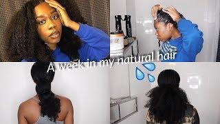 A REALISTIC WEEK IN MY NATURAL HAIR : TYPE 4 WASH N GO EDITION