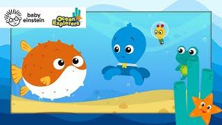 Staying Calm with a Puffer Fish | New Ocean Explorers | Baby Einstein | Toddler Song | Kids Cartoons