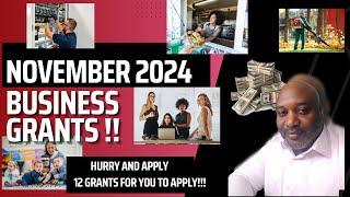 November 2024 Small Business Grants - 12 Grants For You To Apply!!!