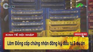 Lâm Đồng cấp chứng nhận đăng ký đầu tư 3 dự án | Lâm Đồng TV