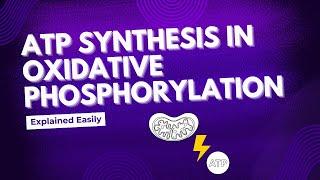 ATP Synthesis in Oxidative Phosphorylation | Biochemistry | CSIR NET, GATE, GAT-B, IIT-JAM