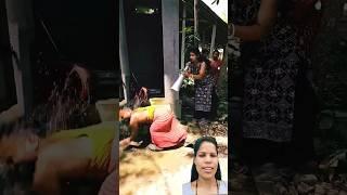 Duckling Save seriously injured cat #duckrescue #cuteanimals #cutecat #shorts