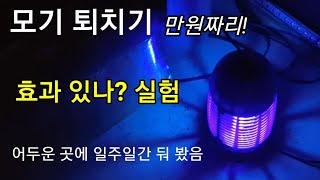 만원 짜리 모기 퇴치기 성능 실험 (전기 감전식) 따닥! 소리 안 나는 모델 / 날파리 초파리