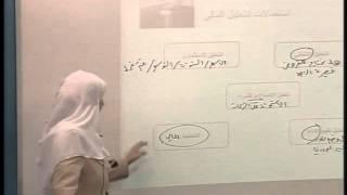 محاضرة 4: مقدمة التحليل المالي