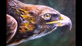 Time laps painting golden eagle by peter bailey wildlife artist