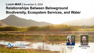 LunchMAR | Relationships Between Belowground Biodiversity and Water (Nov 2024)