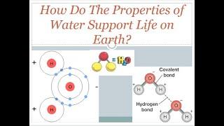 How Do The Properties of Water Support Life on Earth?