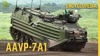 AAVP-7A1 | The Legendary Amphibious Assault Vehicle