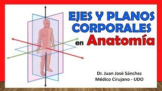  BODY PLANES AND AXES in Anatomy. Easy, Fast and Simple!