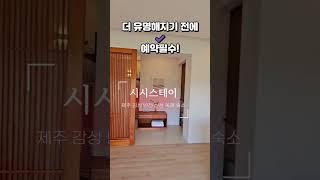 제주도 구좌읍 송당리 | 제주감성숙소 | 뷰맛집 | 신상숙소 | 반전숙소 | 독채숙소 | 감성스테이 |제주여행 | 시시스테이 | 송당 숙소 | 구좌읍숙소