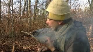 Mit Packpferd im Wald, Feuerbohren, Bier, Wein und Leckeres vom Feuer. Wandern mit Packtier Pferd.